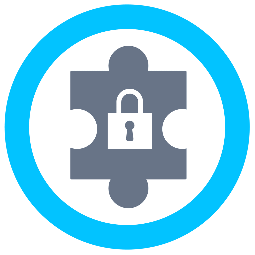 API Security blue gray